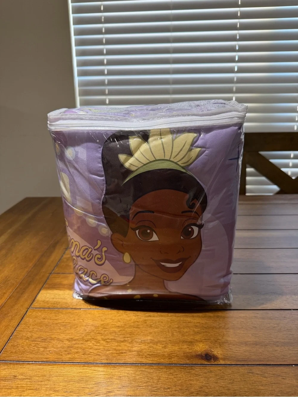 Princess Tiana 4-Piece Comforter Set for Small Bed